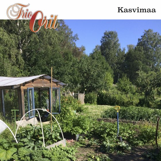 kasvimaa-kansi